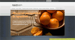 Desktop Screenshot of fugazoanyag.hu