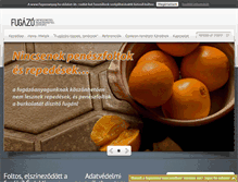 Tablet Screenshot of fugazoanyag.hu